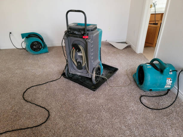 Best 24/7 water damage repair  in Reedsville, WI