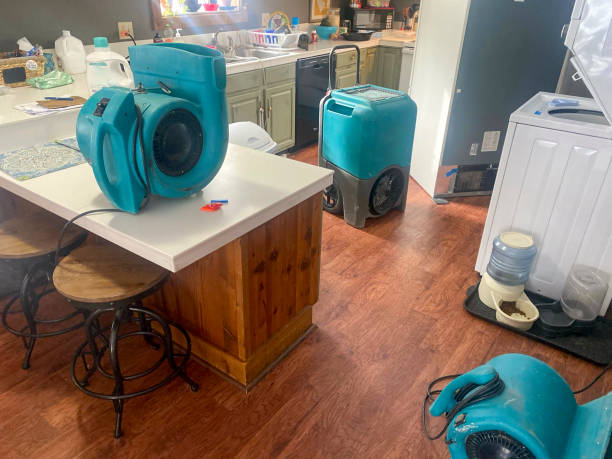 Best Water damage repair service  in Reedsville, WI