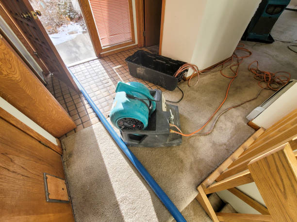 Best Fire Damage Restoration  in Reedsville, WI