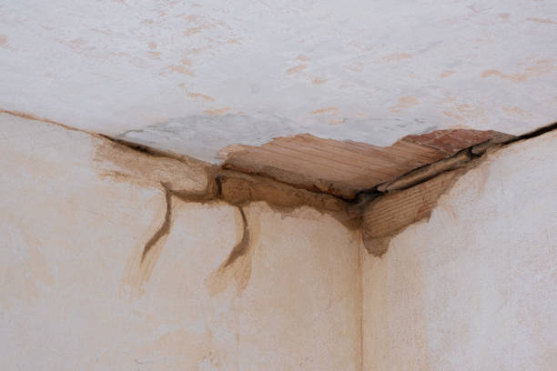Best Sewage cleanup and water damage restoration  in Reedsville, WI