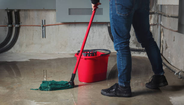 Best Professional water damage repair  in Reedsville, WI