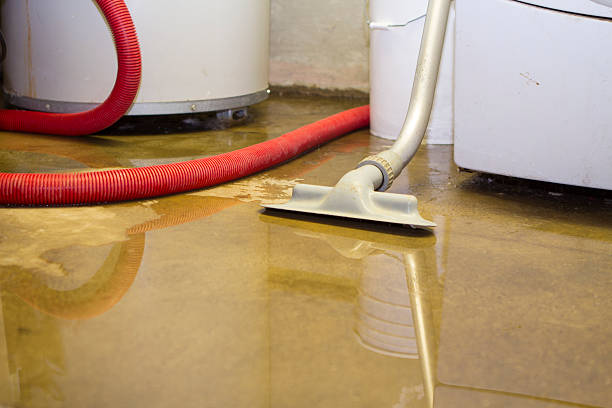 Best Residential water damage restoration  in Reedsville, WI