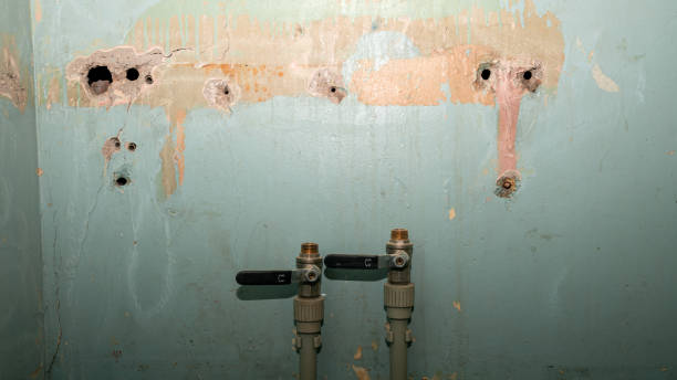 Best Water damage restoration near me  in Reedsville, WI