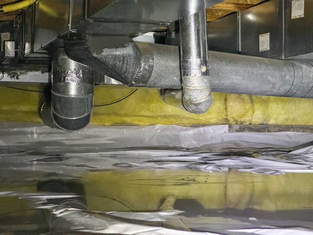 Best Flooded house restoration  in Reedsville, WI