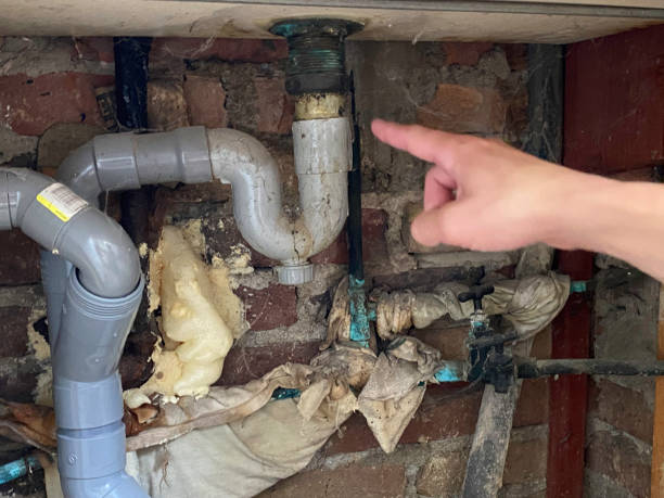 Best Ceiling water damage repair  in Reedsville, WI